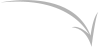 1arrow